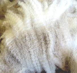 Alpaca Fleece Shorter Fiber / Pale Fawn / Pale Brown Alpaca